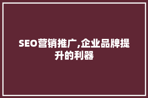 SEO营销推广,企业品牌提升的利器