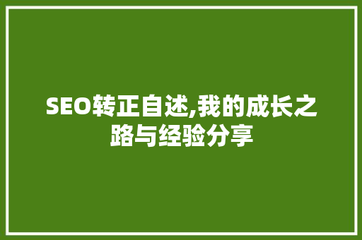 SEO转正自述,我的成长之路与经验分享