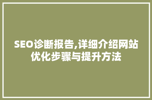 SEO诊断报告,详细介绍网站优化步骤与提升方法