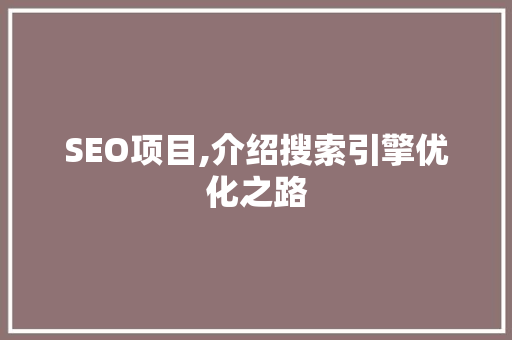 SEO项目,介绍搜索引擎优化之路