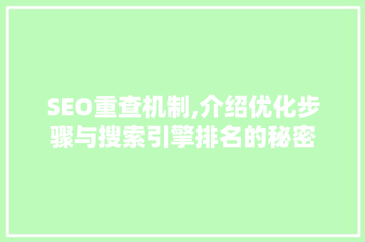 SEO重查机制,介绍优化步骤与搜索引擎排名的秘密