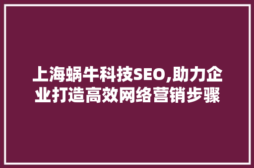 上海蜗牛科技SEO,助力企业打造高效网络营销步骤