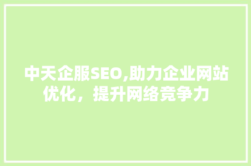 中天企服SEO,助力企业网站优化，提升网络竞争力