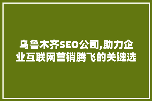 乌鲁木齐SEO公司,助力企业互联网营销腾飞的关键选择