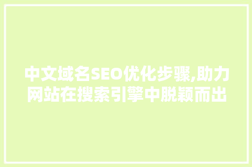中文域名SEO优化步骤,助力网站在搜索引擎中脱颖而出