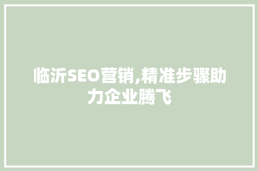 临沂SEO营销,精准步骤助力企业腾飞