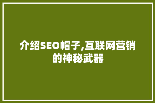介绍SEO帽子,互联网营销的神秘武器