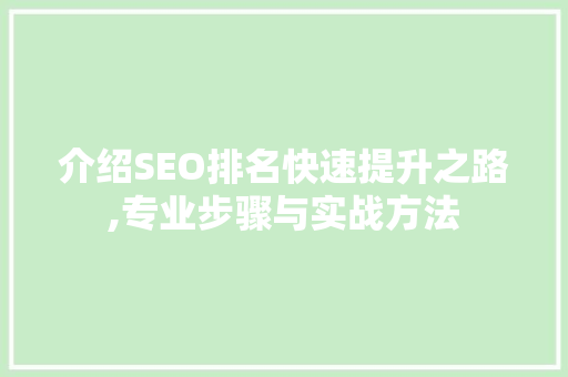 介绍SEO排名快速提升之路,专业步骤与实战方法