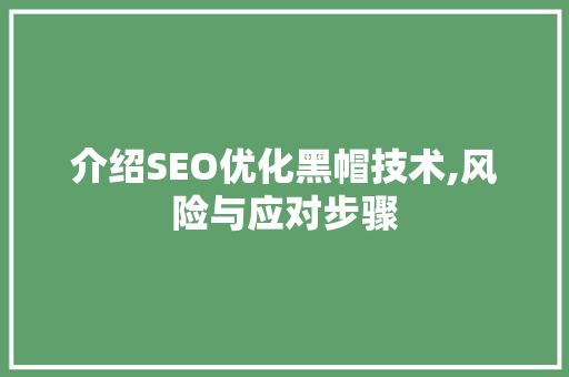 介绍SEO优化黑帽技术,风险与应对步骤