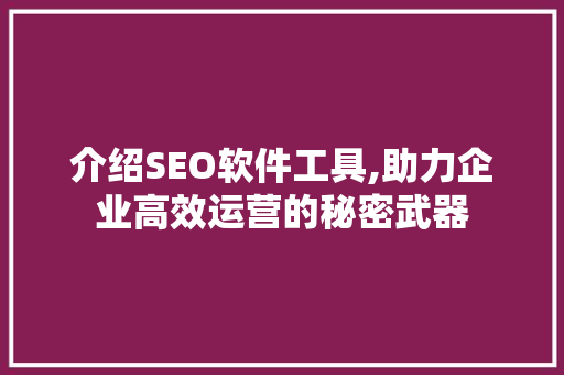 介绍SEO软件工具,助力企业高效运营的秘密武器