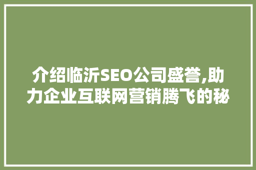 介绍临沂SEO公司盛誉,助力企业互联网营销腾飞的秘密武器