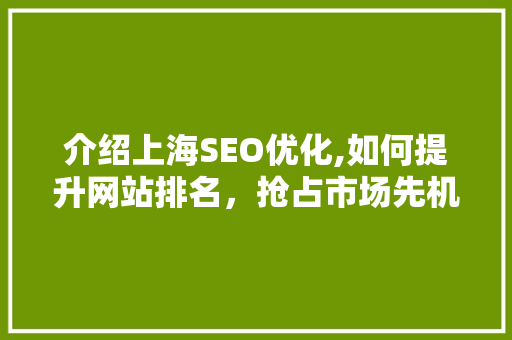 介绍上海SEO优化,如何提升网站排名，抢占市场先机