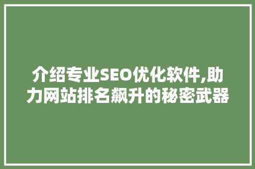 介绍专业SEO优化软件,助力网站排名飙升的秘密武器