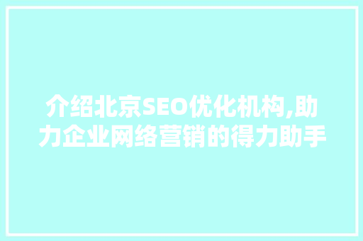 介绍北京SEO优化机构,助力企业网络营销的得力助手