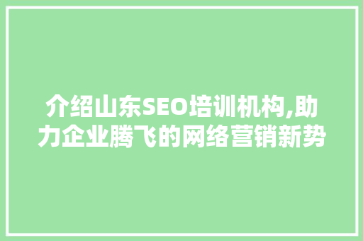 介绍山东SEO培训机构,助力企业腾飞的网络营销新势力