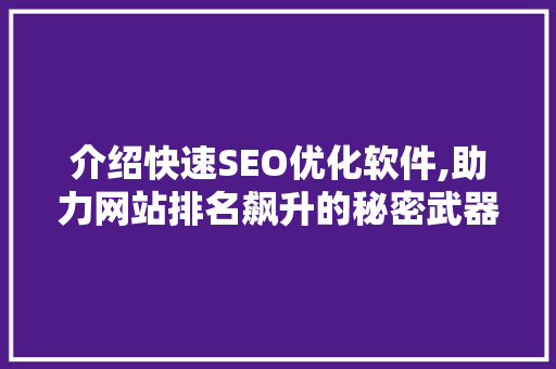 介绍快速SEO优化软件,助力网站排名飙升的秘密武器