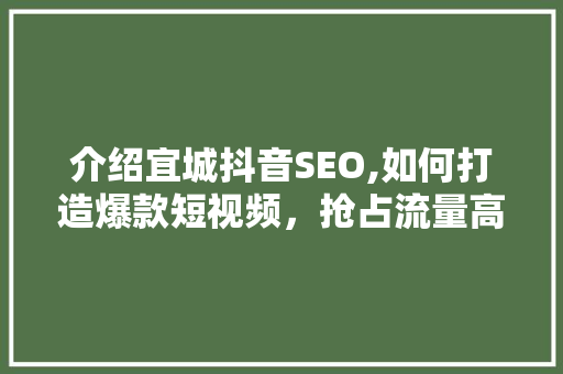 介绍宜城抖音SEO,如何打造爆款短视频，抢占流量高地