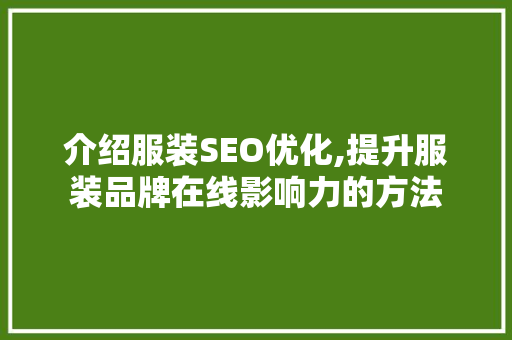 介绍服装SEO优化,提升服装品牌在线影响力的方法