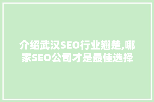 介绍武汉SEO行业翘楚,哪家SEO公司才是最佳选择