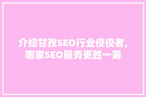 介绍甘孜SEO行业佼佼者,哪家SEO服务更胜一筹