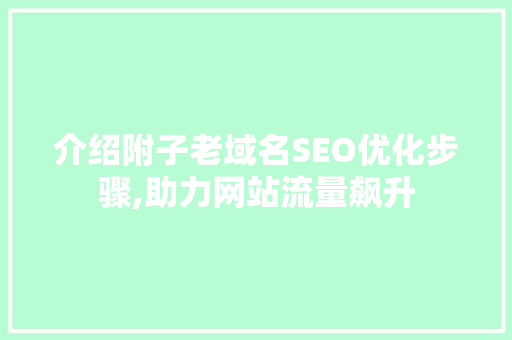 介绍附子老域名SEO优化步骤,助力网站流量飙升