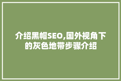 介绍黑帽SEO,国外视角下的灰色地带步骤介绍