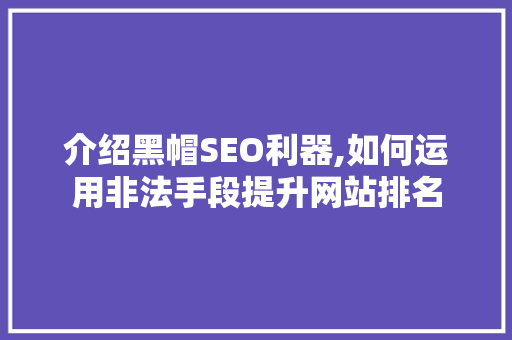 介绍黑帽SEO利器,如何运用非法手段提升网站排名