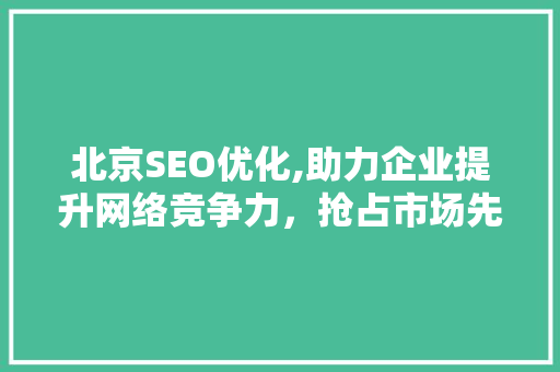 北京SEO优化,助力企业提升网络竞争力，抢占市场先机