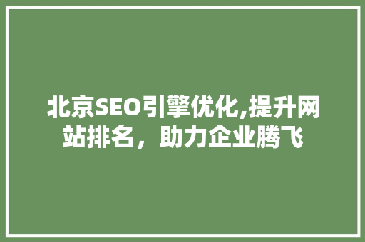 北京SEO引擎优化,提升网站排名，助力企业腾飞
