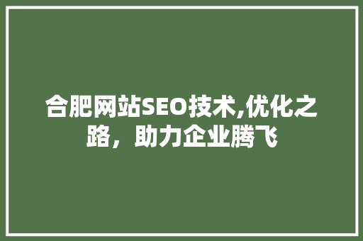 合肥网站SEO技术,优化之路，助力企业腾飞