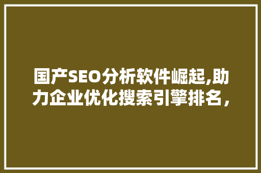 国产SEO分析软件崛起,助力企业优化搜索引擎排名，抢占互联网市场先机