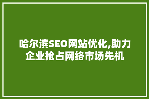 哈尔滨SEO网站优化,助力企业抢占网络市场先机