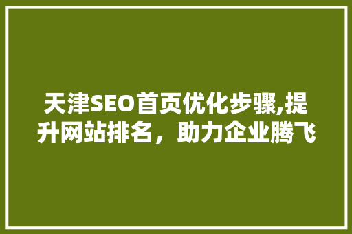 天津SEO首页优化步骤,提升网站排名，助力企业腾飞