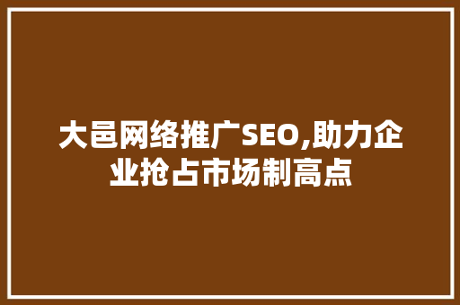 大邑网络推广SEO,助力企业抢占市场制高点