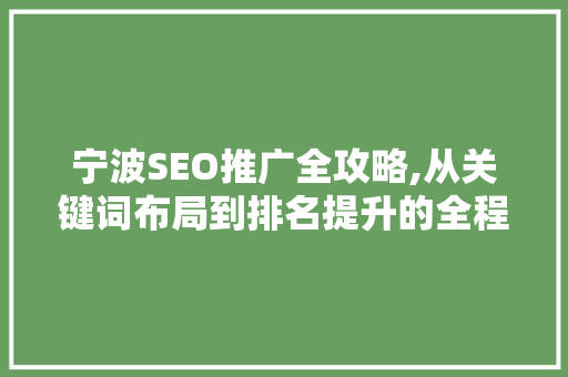 宁波SEO推广全攻略,从关键词布局到排名提升的全程介绍