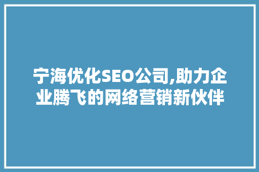宁海优化SEO公司,助力企业腾飞的网络营销新伙伴