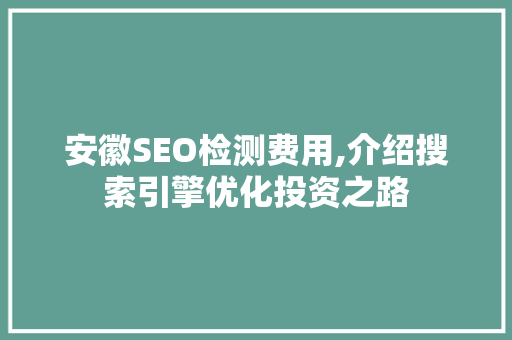 安徽SEO检测费用,介绍搜索引擎优化投资之路