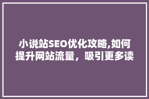 小说站SEO优化攻略,如何提升网站流量，吸引更多读者