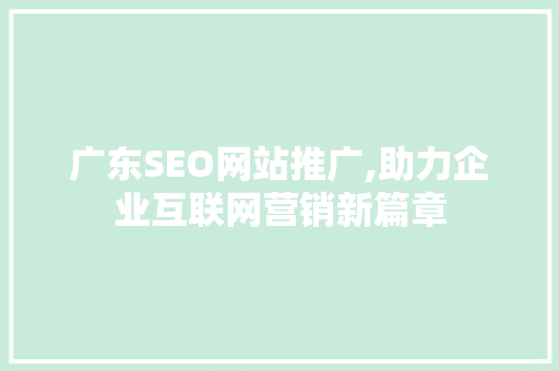 广东SEO网站推广,助力企业互联网营销新篇章