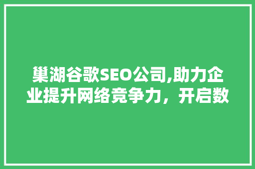 巢湖谷歌SEO公司,助力企业提升网络竞争力，开启数字营销新时代