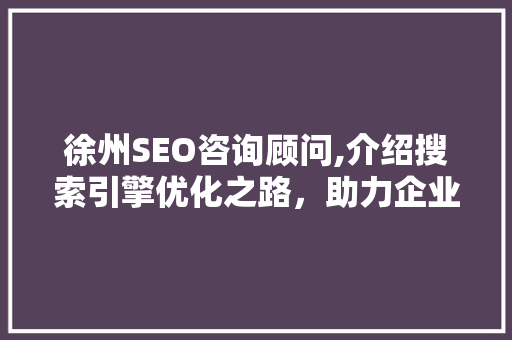 徐州SEO咨询顾问,介绍搜索引擎优化之路，助力企业腾飞