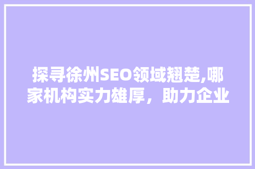 探寻徐州SEO领域翘楚,哪家机构实力雄厚，助力企业腾飞