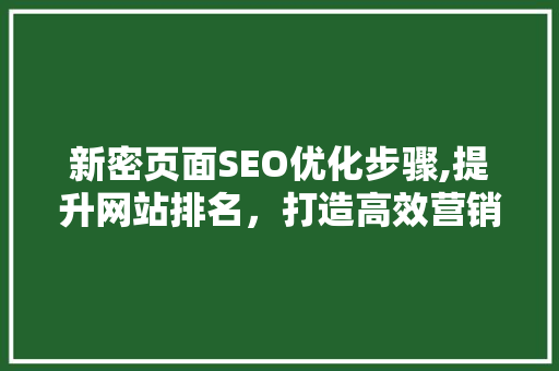 新密页面SEO优化步骤,提升网站排名，打造高效营销平台