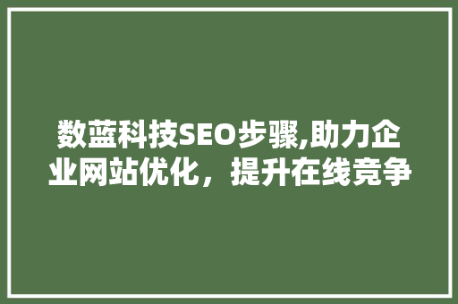 数蓝科技SEO步骤,助力企业网站优化，提升在线竞争力