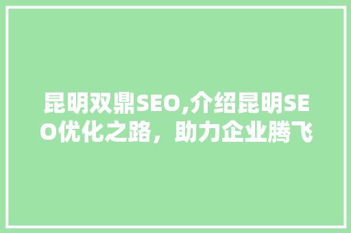 昆明双鼎SEO,介绍昆明SEO优化之路，助力企业腾飞