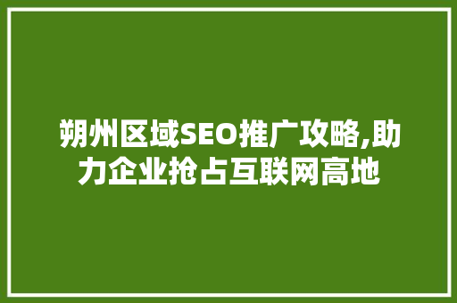 朔州区域SEO推广攻略,助力企业抢占互联网高地