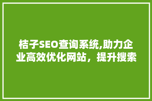 桔子SEO查询系统,助力企业高效优化网站，提升搜索引擎排名