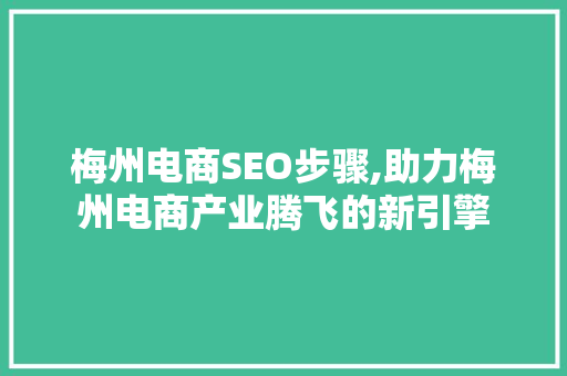 梅州电商SEO步骤,助力梅州电商产业腾飞的新引擎