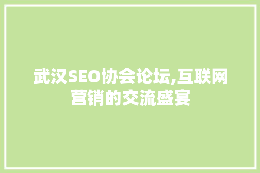 武汉SEO协会论坛,互联网营销的交流盛宴