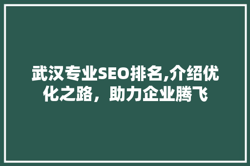 武汉专业SEO排名,介绍优化之路，助力企业腾飞